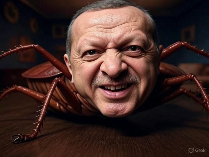 erdogan1635