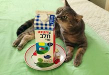А цены растут…