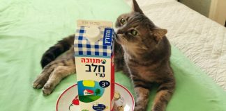 А цены растут…