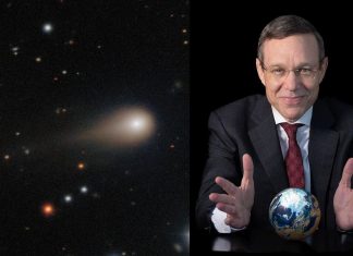 Главный по тарелочкам