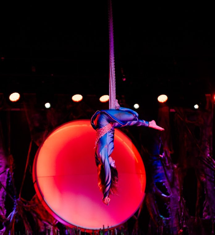 Bravo Circus Hanucah 2025 (5)