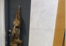 Шакалья угроза