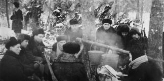 Бьётся в тесной землянке огонь…