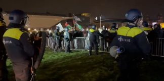 Амстердамнахт: продолжение последовало