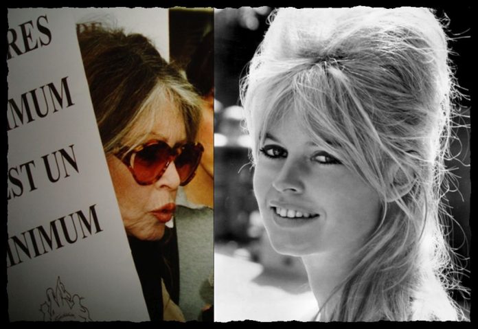 bardot1652