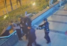 Свора трусливых гиен