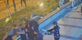 Свора трусливых гиен
