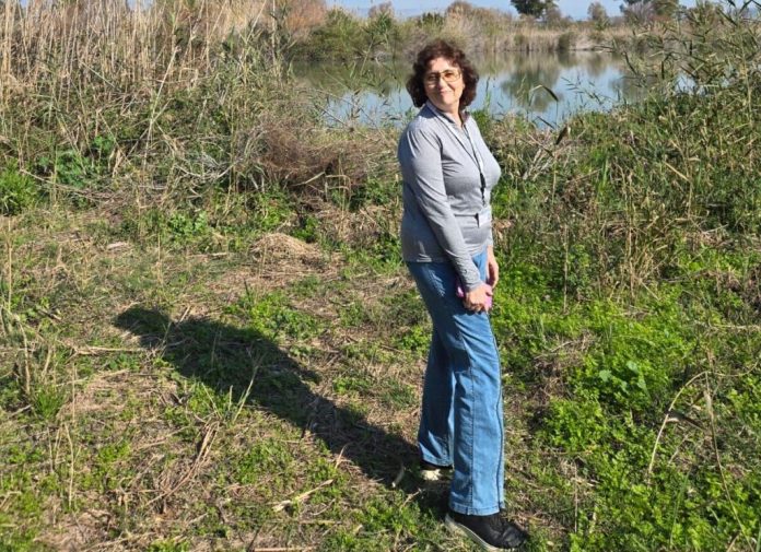 Cenni671-