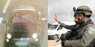 Дело о подкидыше