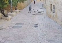 Обезумевший Йона