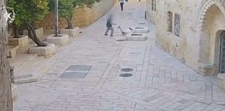 Обезумевший Йона