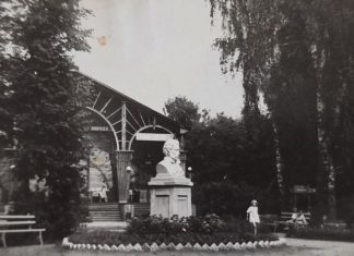 Не только "наше всё"