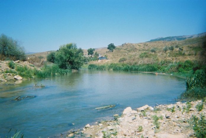 litani1678