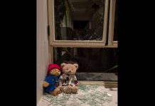 Макаревич: от обстрела – до выставки