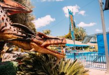 Dragon Water Park возвращается