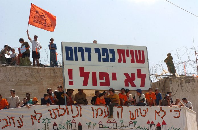 Iesli631