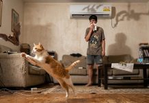 "Бэтмэн" уделался от страха и погиб