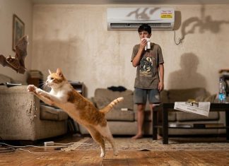 "Бэтмэн" уделался от страха и погиб