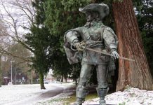 Мушкетер под вопросом