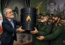 Д-р Дина ЛИСНЯНСКАЯ | Как Пездяшкин КСИРовцев заложил