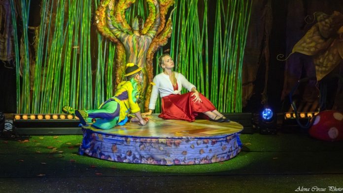 Четыре времени года в затерянном лесу - фото Елена Лахман Alice Circus Photo (5) (Small)