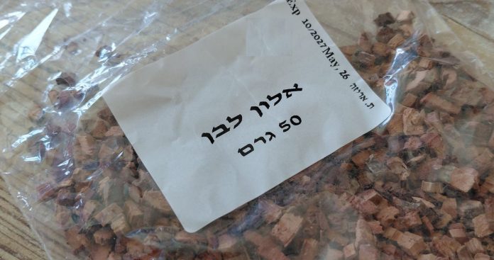 Kordu687