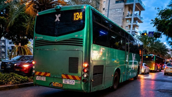 bus134