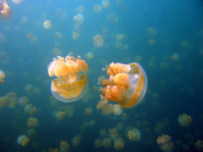 pogoda270515