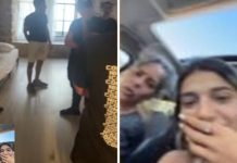 Миледи с нашего двора