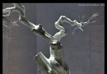 Израильская опера представляет сезон 2026/27