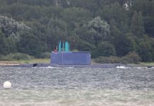 Давид ШАРП | Гвардия морских глубин