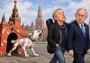 Просто шМария обгавкала Макаревича