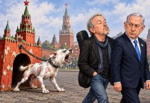 Просто шМария обгавкала Макаревича