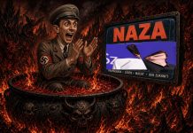 Венецианское эхо “Зюсса”, или NAZA и nazi