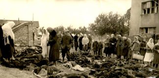 Последние eвpeи Курска